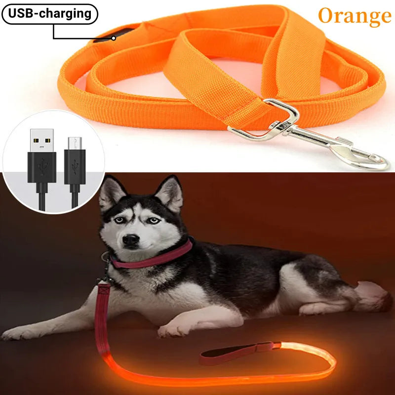 Glowing Led Dog Leash Usb Rechargeable Pet Dog Flashing Nylon Webbing Leashes- 3 Lighting Modes Keep Your Pets Safe In Darkness