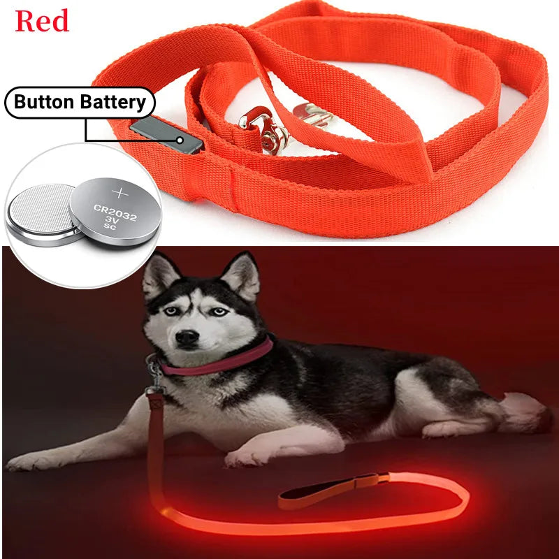 Glowing Led Dog Leash Usb Rechargeable Pet Dog Flashing Nylon Webbing Leashes- 3 Lighting Modes Keep Your Pets Safe In Darkness