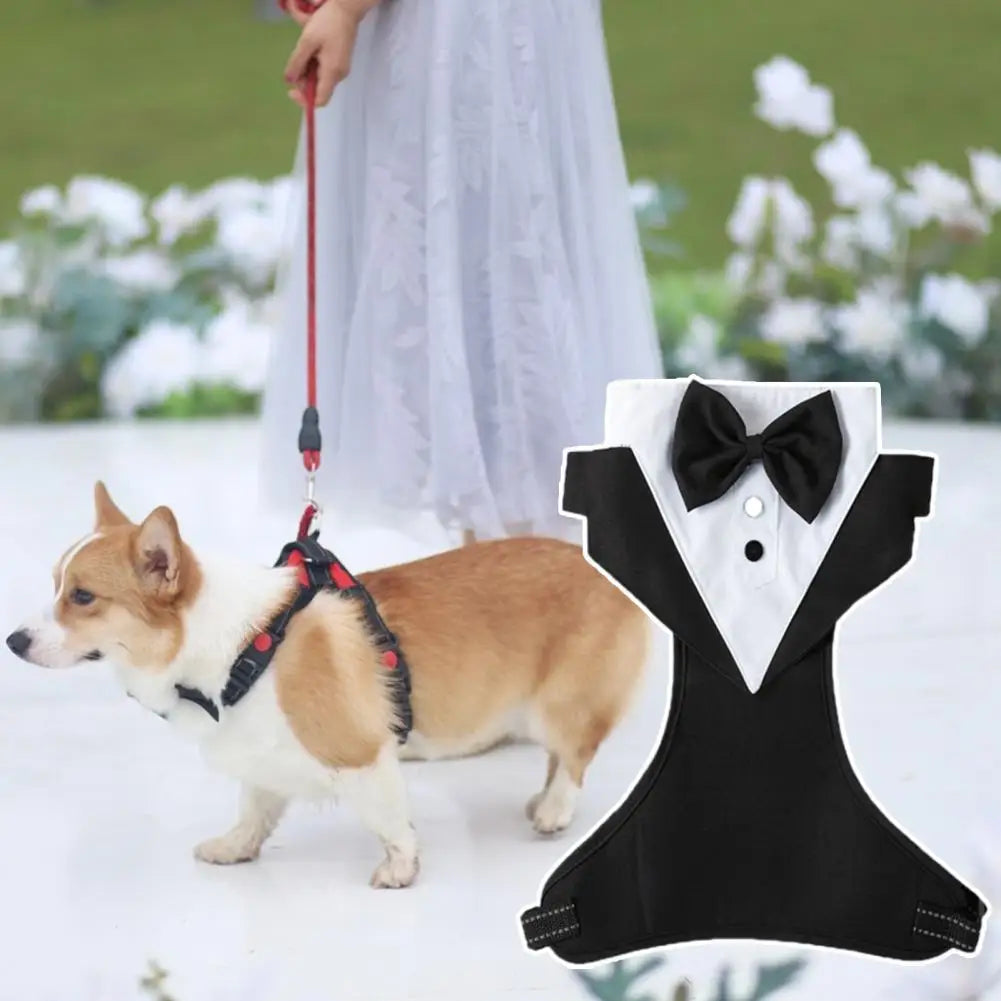 Formal Dog Wedding Suit with Leash Ring Dog Tuxedo Clothes Soft Breathable Dogs Tuxedo Wedding Party Suit for Small Medium Dogs