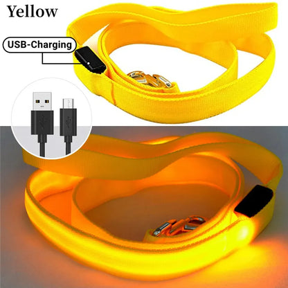 Glowing Led Dog Leash Usb Rechargeable Pet Dog Flashing Nylon Webbing Leashes- 3 Lighting Modes Keep Your Pets Safe In Darkness