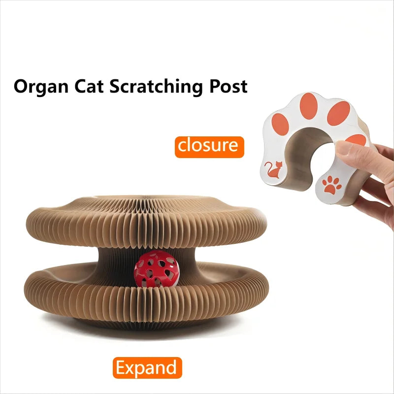 Kitten Curl Toy Foldable Magic Organ Cat Scratching Board Durable Recyclable Cardboard Cat Scratcher Cat Bed Interactive Scratch